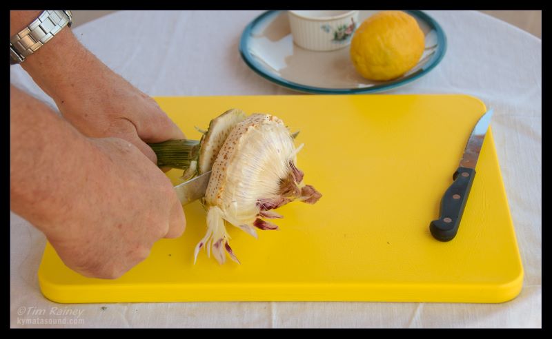 slicing the artichoke in two