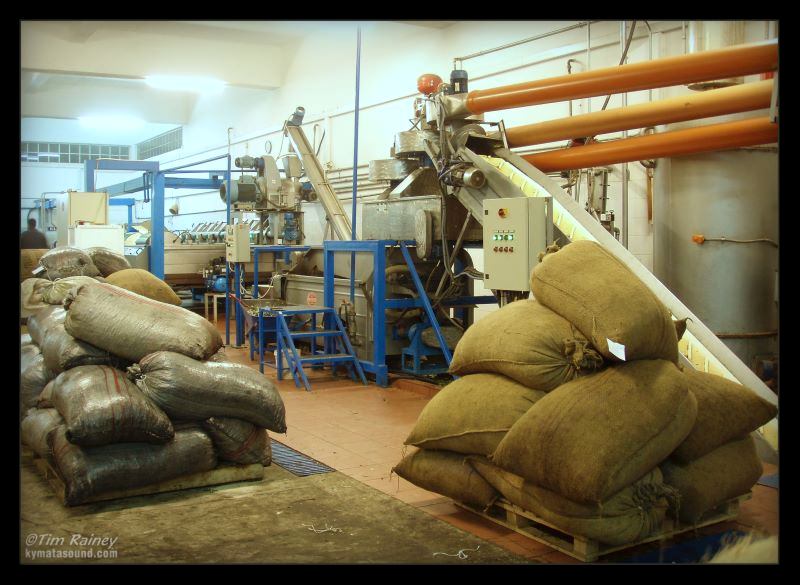olive processing plant
