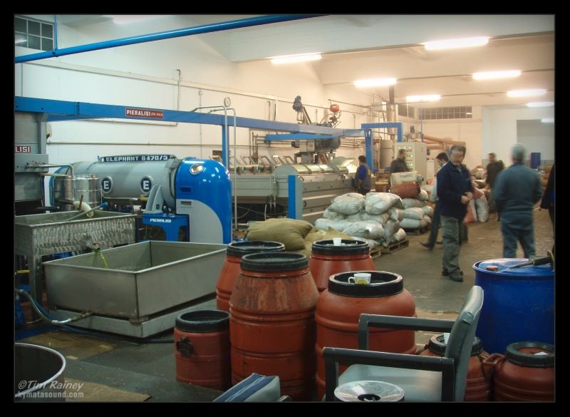 olive processing plant