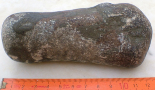 fossilised bone