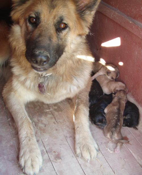 The proud mum